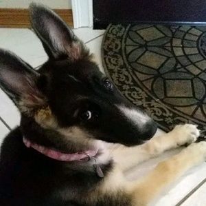 Meet your Posher, Hailey